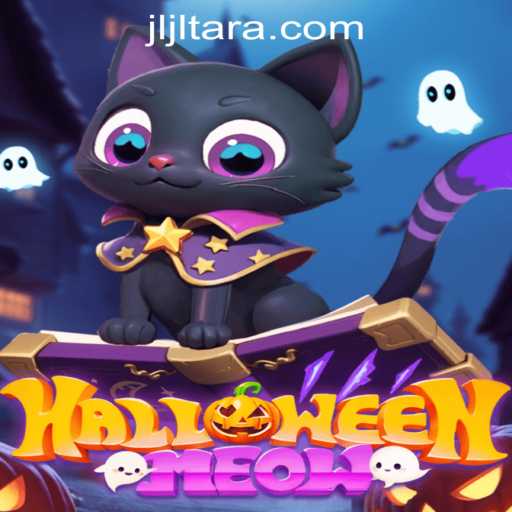 Exploring the Enchanting World of HalloweenMeow and the Mysterious JL TARA